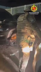 Militares resgatam raposa-do-campo que estava presa no motor de carro