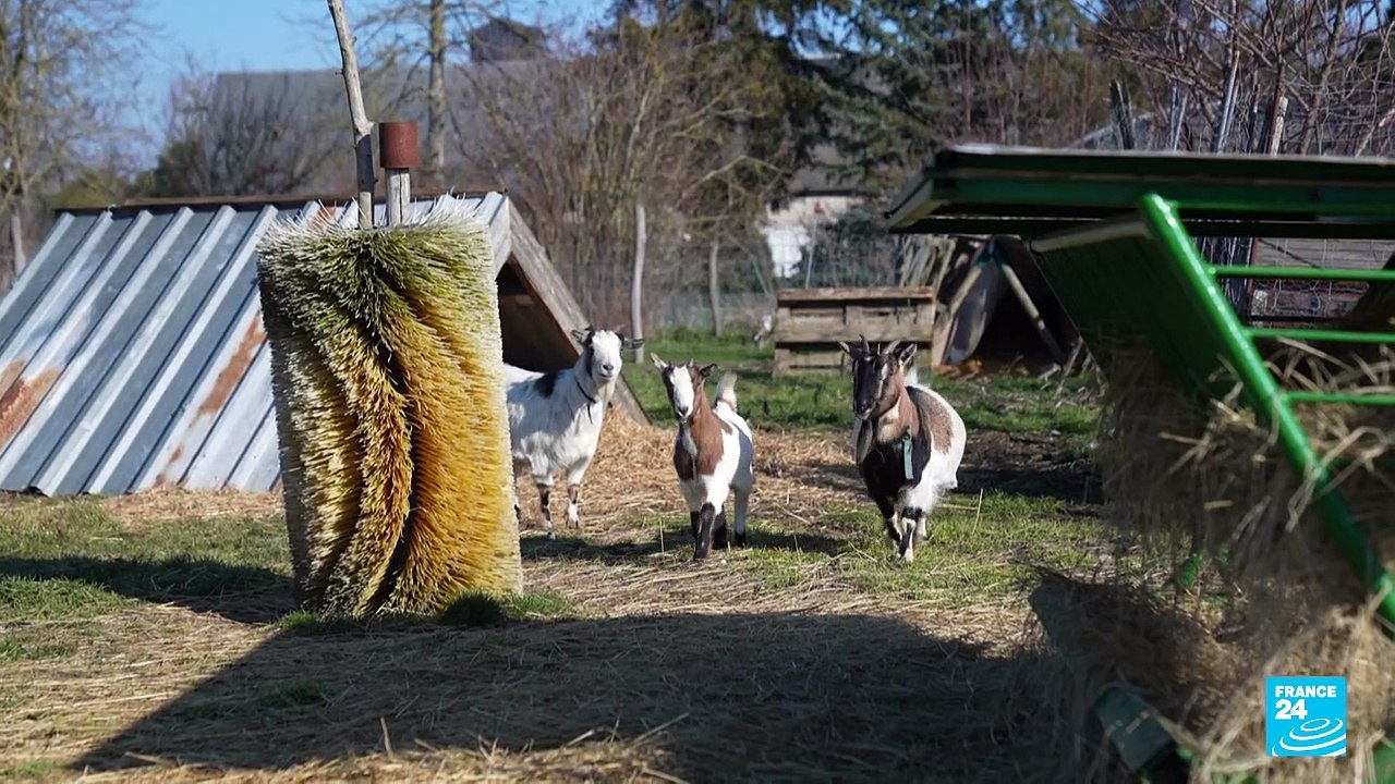 Soaring chemical fertiliser prices weigh heavily on French farmers