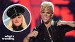 Behind P!nk's Alleged Feud with Madonna