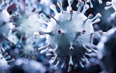 Lab Leak in China Likely Set Off Pandemic, Says US Energy Department