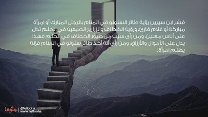 تفسير رؤية السنونو في المنام وحلم طائر الخطاف