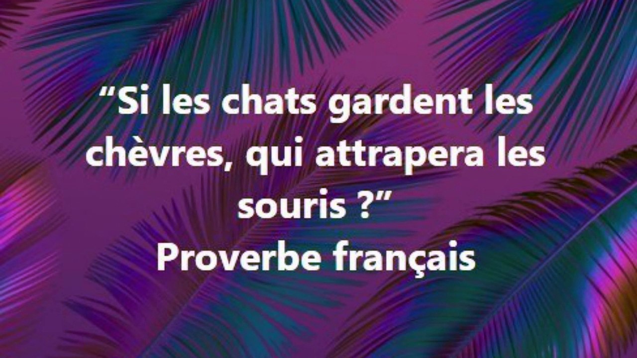 22)“Si les chats gardent les chèvres, qui attrapera les souris ”  Proverbe français