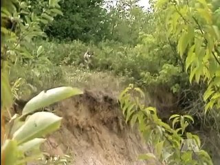 The Littlest Hobo - Se5 - Ep15 HD Watch