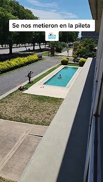 Transeúntes pasan por una piscina, se meten y el dueño los descubre.