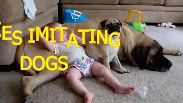 Funny babies imitating dogs - Cute dog baby compilation - Funny Videos Babies And Dog