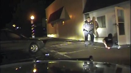 Colfax man pulls handgun on police during arrest