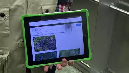 Best Elevator Spider Prank - iPad Magic - Scary Prank - Funny Scary Prank Videos