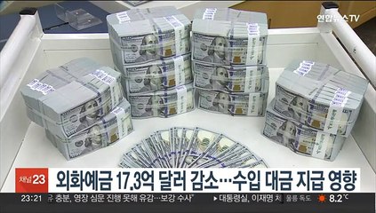 외화예금 17.3억 달러 감소…수입 대금 지급 영향