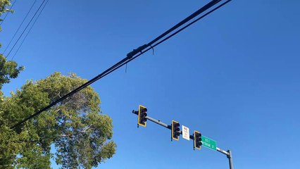 Where’s Iggy in Key West ?