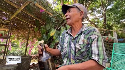 Una Bebida Artesanal De Culebras Y Alacranes