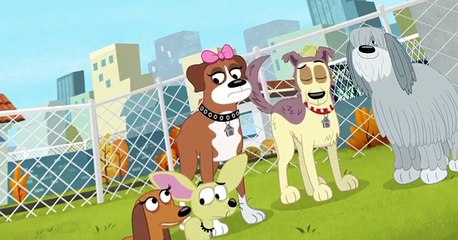 Pound Puppies 2010 Pound Puppies 2010 S02 E011 No Dogs Allowed