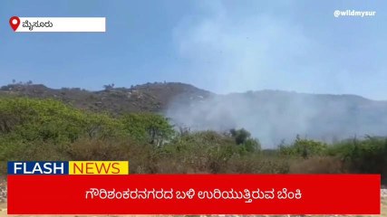ಚಾಮುಂಡಿ ಬೆಟ್ಟದಲ್ಲಿ ಮತ್ತೆ ಕಾಡ್ಗಿಚ್ಚು; ನೂರಾರು ಎಕರೆ ಅರಣ್ಯ ಭಸ್ಮ
