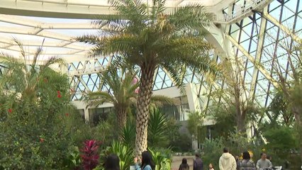 뿌연 하늘 피해 실내로...식물원·박물관 '북적' / YTN