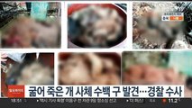 굶어 죽은 개 사체 수백 구 발견…경찰 수사