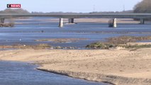 Sécheresse : à sec, la Loire inquiète