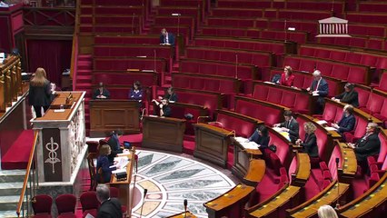 2ème séance : Débat sur le thème : "Hyper-concentration des dépenses du ministère de la culture en Île-de-France : une fatalité ?" - Lundi 27 février 2023