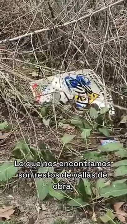 Alcalá de Henares: Denuncian la proliferación de ratas en el paseo del arroyo Camarmilla