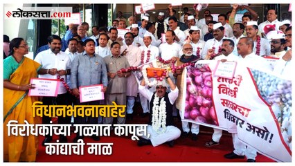 Assembly Budget Session 2023-24: कांदा प्रश्न विधानभवनात; विरोधकांची जोरदार घोषणाबाजी
