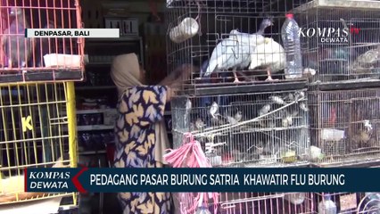 Pedagang Di Pasar Burung Satria Khawatir Isu Flu Burung