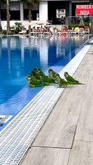 Save water save life |पानी सब को जरूरत है इसीलिए बचा के रखे