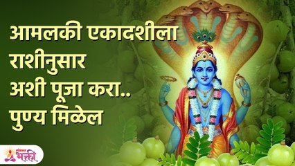 राशीनुसार आमलकी एकादशीला पूजा केल्याने मोक्ष प्राप्त होते | Amalaki Ekadashi 2023 | PR 3