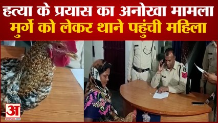 Chhattisgarh : मुर्गे के मर्डर की कोशिश! घायल मुर्गे को लेकर थाने पहुंची महिला, पड़ोसी पर लगाया आरोप