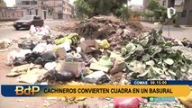 Crisis por cierre de relleno sanitario de Zapallal: Vecinos de Comas denuncian cúmulos de basura en av. Lima