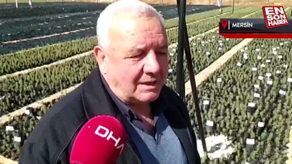 Depremlerde vefat edenlerin isimleri fidanlara verildi