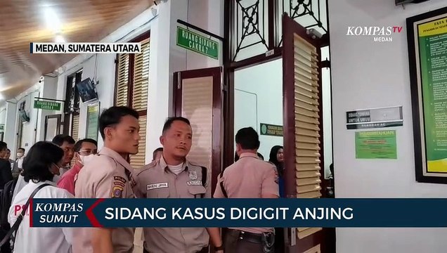 PN Medan Tolak Pra Peradilan Penetapan Tersangka Pemilik Anjing yang Gigit Korban