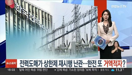 전력도매가 상한제 재시행 난관…한전, 또 거액적자?