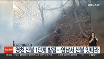 영천 산불 1단계 발령…경북·경남서 산불 잇따라