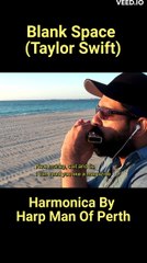 Blank Space - Taylor Swift - Harmonica shorts