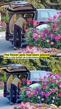 Men spotted stealing flower pots meant for G20 summit in Gurugram