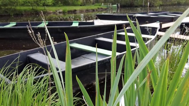 2022 Marais de la Brière, Saint Lyphard * Trigone Production