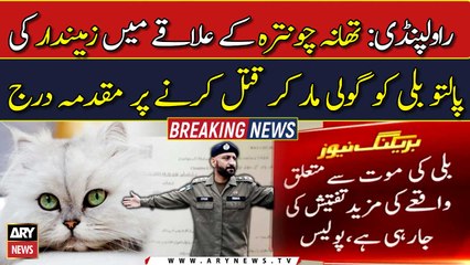 Case of killing landlord's cat registered in Rawalpindi