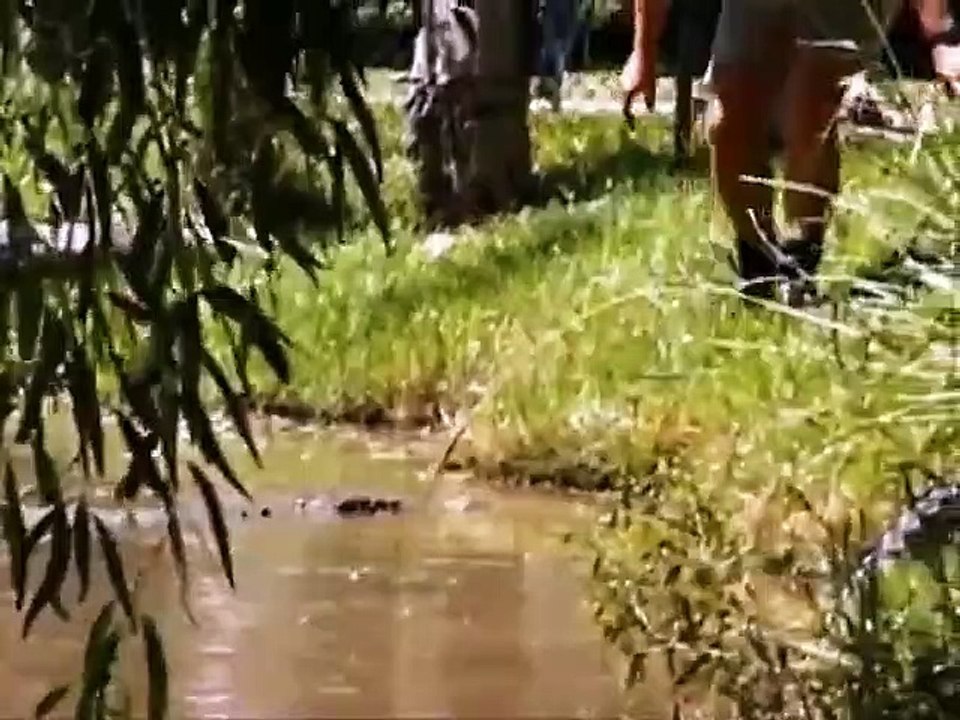 The Crocodile Hunter - Ep42 HD Watch