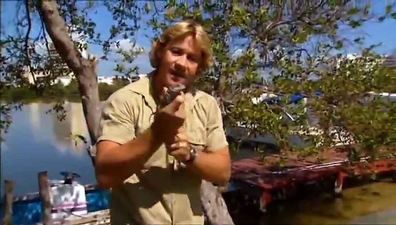 The Crocodile Hunter - Ep47 HD Watch