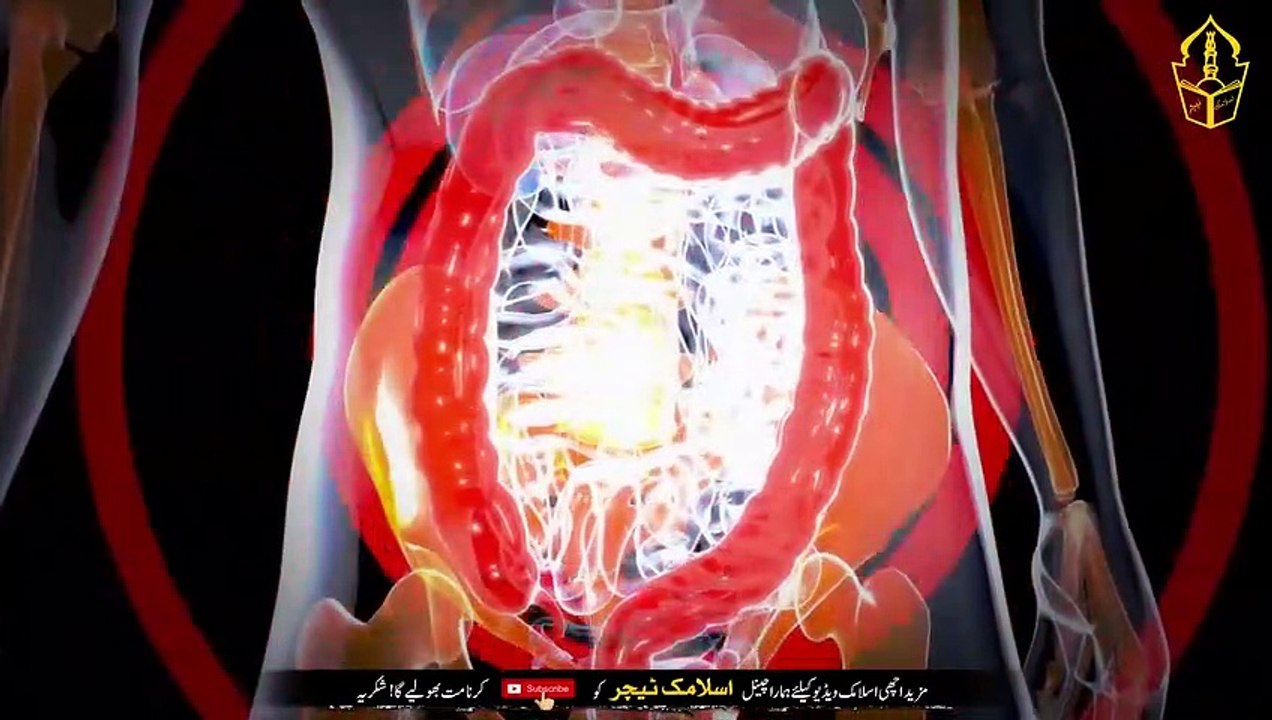 Put your finger on the navel and read this Ayat - Not every disease in the world will harm you - IT