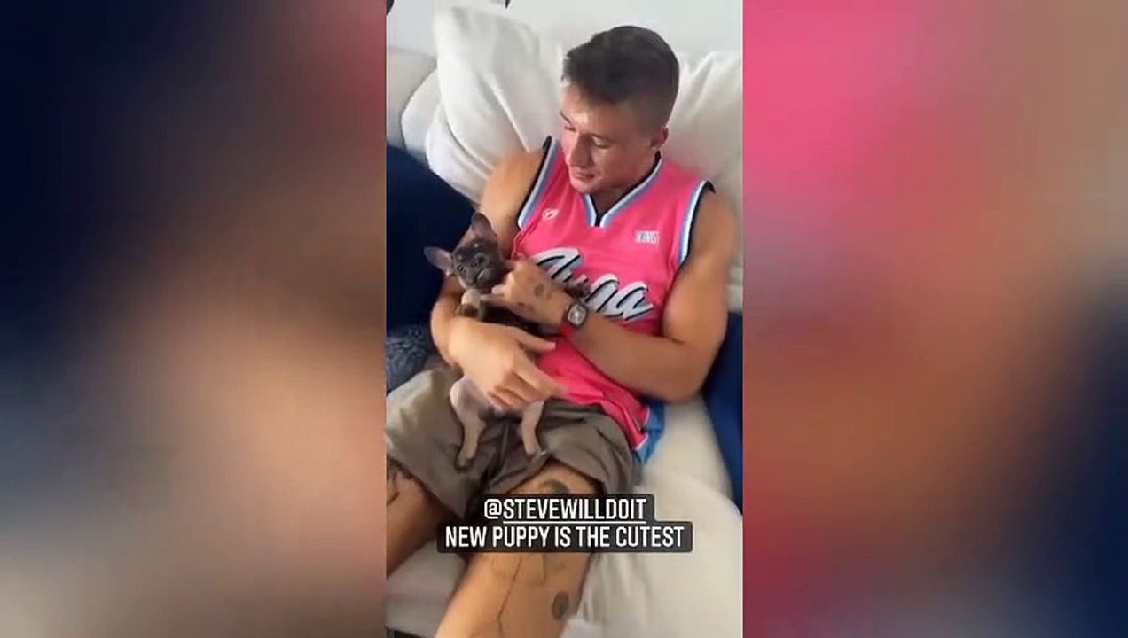 SteveWillDoIt New Puppy
