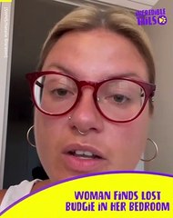 Random Budgie Flies into Home and Funny Reaction: A Hilarious and Unexpected Visit