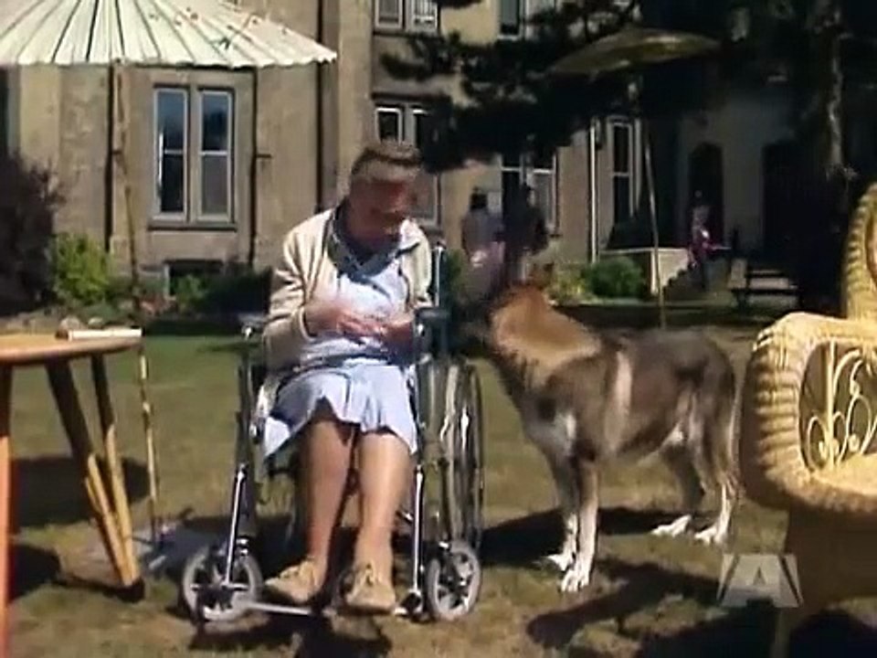 The Littlest Hobo - Se5 - Ep16 HD Watch