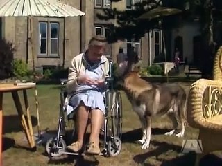 The Littlest Hobo - Se5 - Ep16 HD Watch
