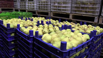 İnegöl'de soğuk hava deposunun elektrik ihtiyacı güneşten karşılanacak