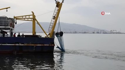 İzmit Körfezi'nde dip çamuru temizliği öncesinde biyoçeşitlilik tespiti