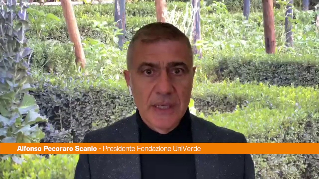 Pecoraro Scanio "Bene apertura Conte a Schlein per area progressista"