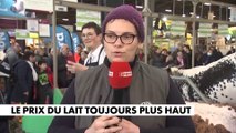 Laurence Despeaux : «Des agriculteurs sont obligés de vendre des vaches»