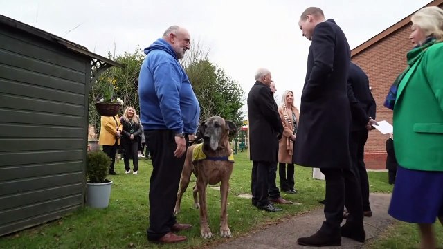 Kate plants 'Sweet William' seeds at rehab centre in Wales