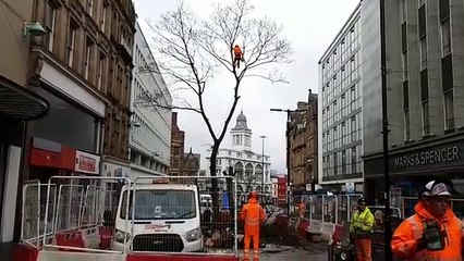 Trees being cut down on Fargate in Sheffield city centre