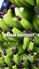 How many Banana Varieties? | know This #shorts