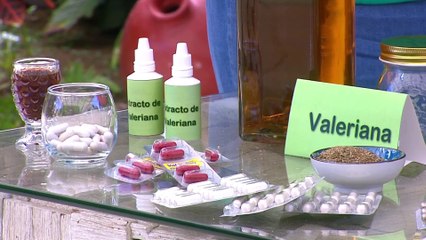 bd-plantas-naturales-para-calmar-nervios-y-conciliar-el-sueño-280223